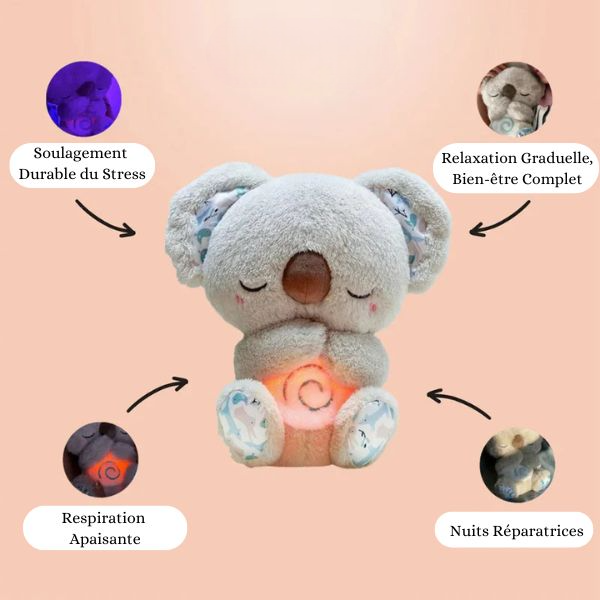 Orsinella™ – Koala Apaisant