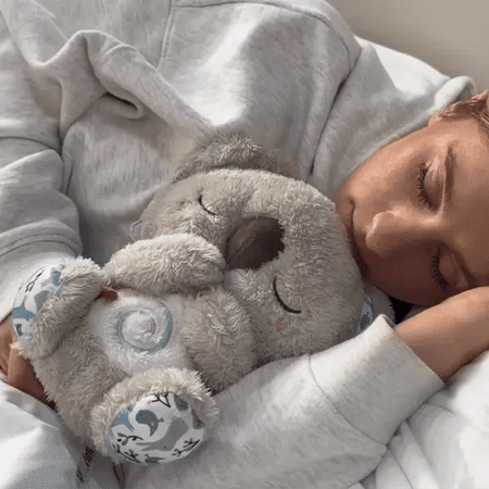 Orsinella™ – Koala Apaisant